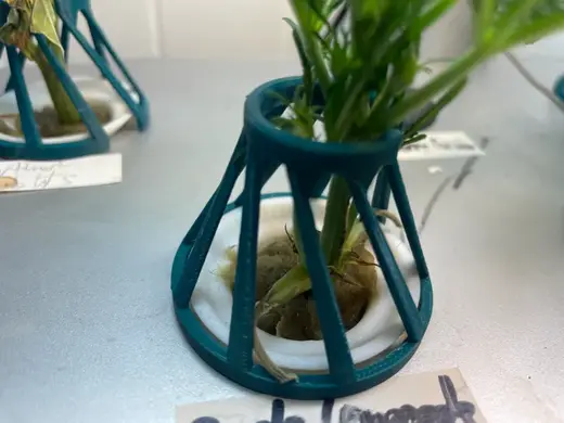 Aerogarden Plant Supports