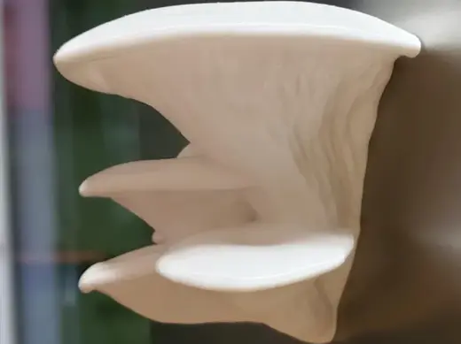 Oyster Mushroom Cluster – Magnet or Decorative