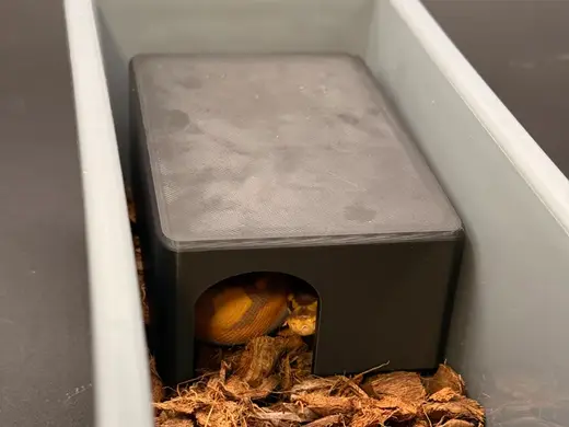 Hatchling Hide for LP05 tubs