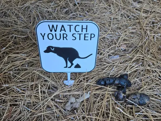 Watch Your Step Sign - Dog Poop!