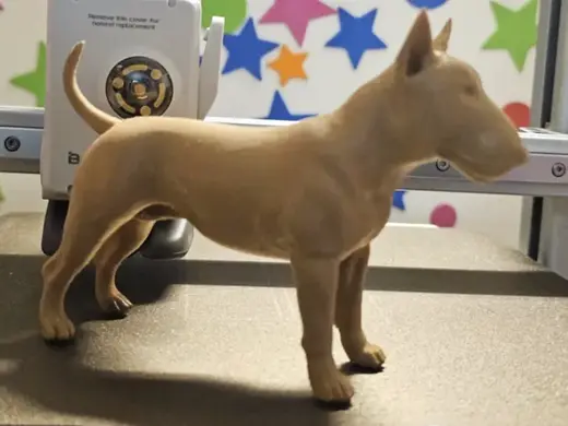 BULL TERRIER (Realista)