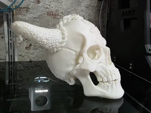 Fantasy Viking Skull