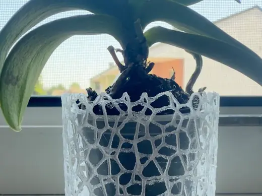 Vaso Voronoi per orchidea