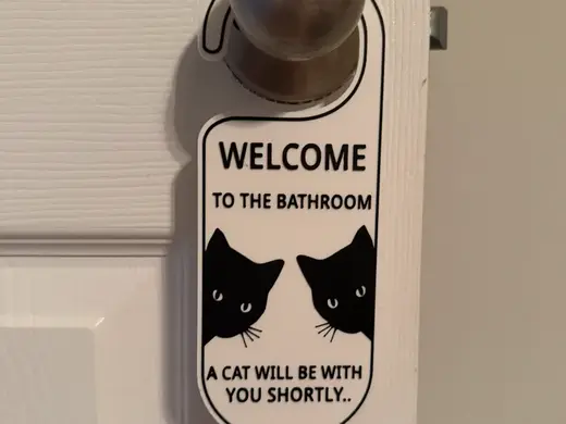 Welcome to the bathroom, a cat will be with you