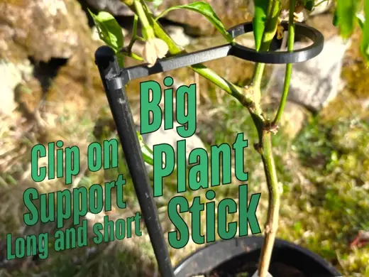 Big Plant Stick with Click-On Plant Holder