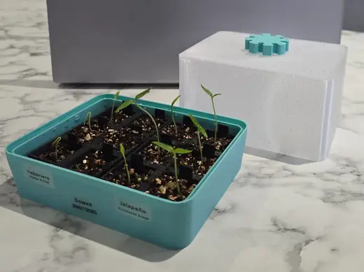 Mini Propagator for Growing Seedlings