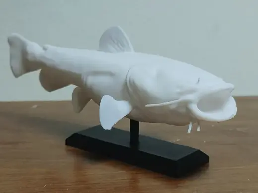 Flathead Catfish Mount