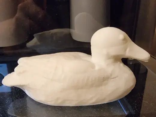 3D Duck
