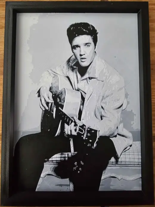 Printed Image of Elvis with Frame to match