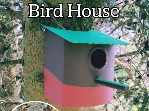 Bird House for Tree Stem - Curved