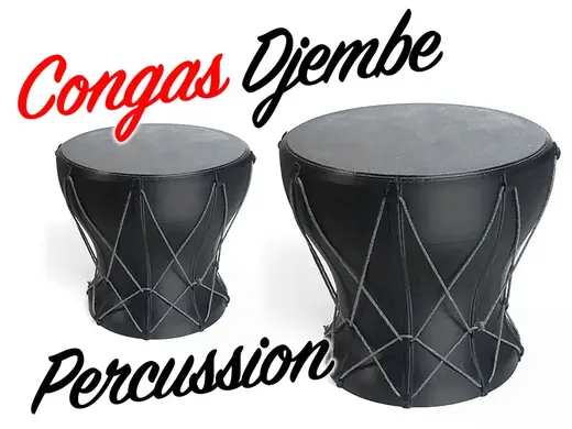 Congas - Djembe - Bongo Percussion