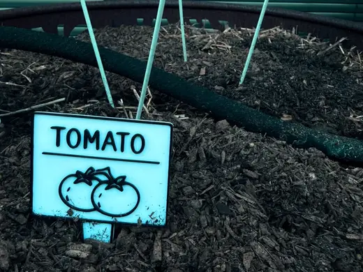 Fruit & Veg Garden Marker Signs Various Available