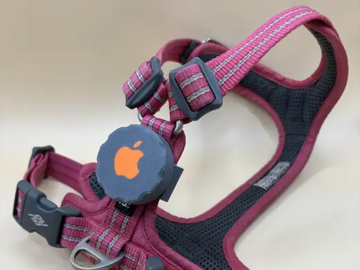 Airtag Halter für Hunde mit Licht Option