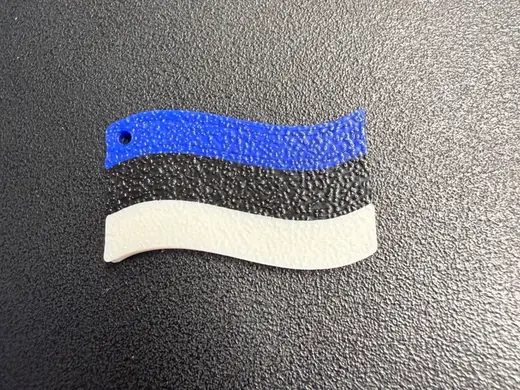 Estonian Flag (earrings)