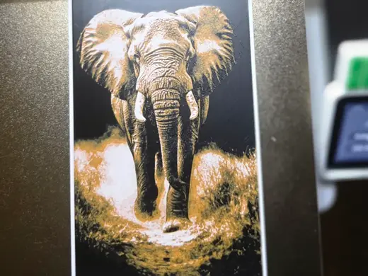 Elefante Guardián de África