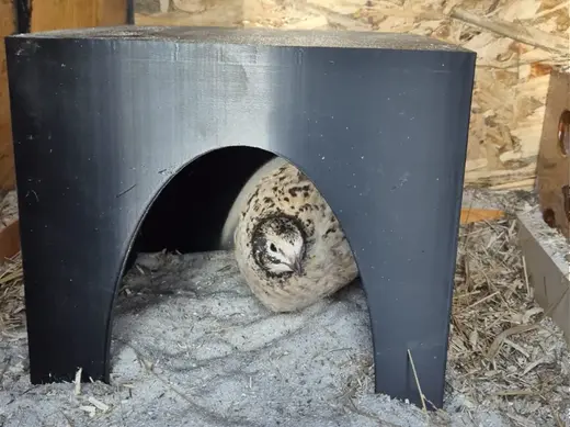Cozy Nest House for Quail & Small Pets