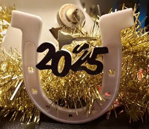 Lucky new year 2025 Horseshoe