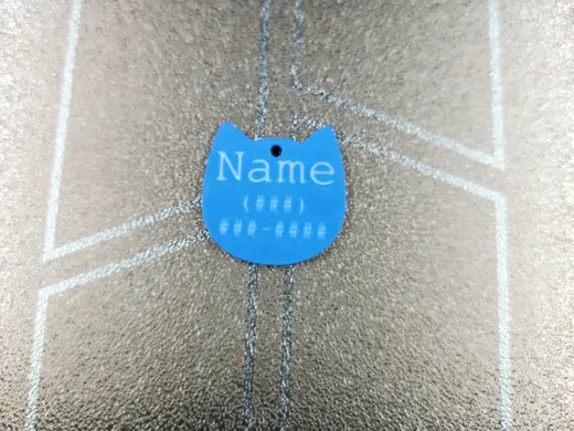 Cat Tag