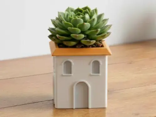 Minimalist House Planter