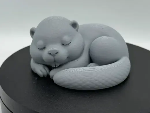 Sleeping Beaver – Curled Tail Rest Pose