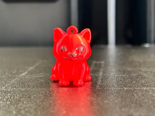 GATTO CARINO