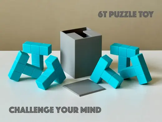 6T Puzzle Toy | Challenge Your Mind