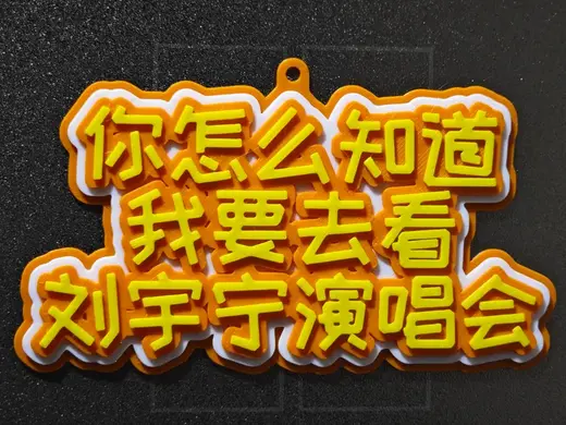 你怎么知道我要去看刘宇宁演唱会