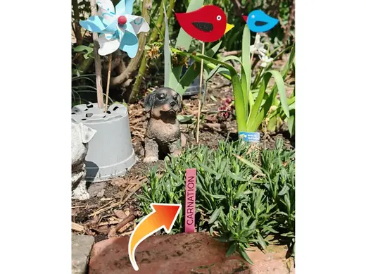 Customizable Plant Stripe Label - Tag my plant