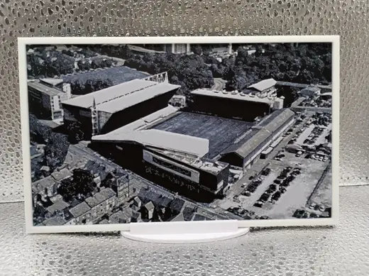 Leicester Tigers - Welford Road Stadium Hueforge