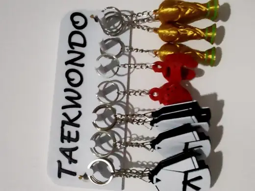 keychain - wall keychain - taekwondo