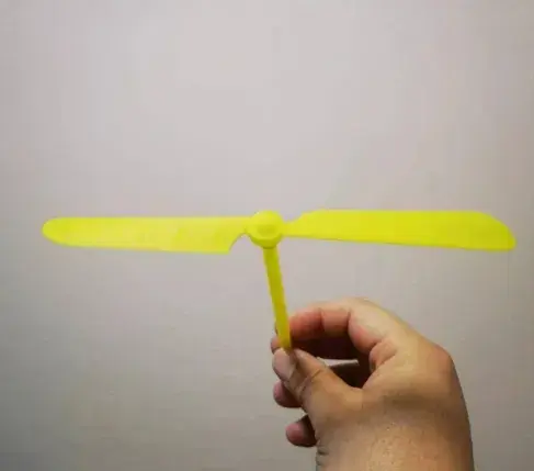 竹蜻蜓(Bamboo dragonfly)
