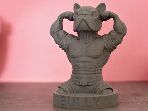 Französische Bulldogge – Bully Bodybuilder