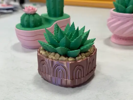 Forever Succulent | Boho Plant & Pot
