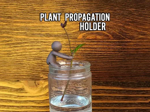 Little Gardener Plant Propagation Holder