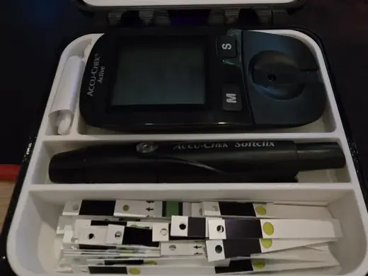 Accu-Chek Travel Case