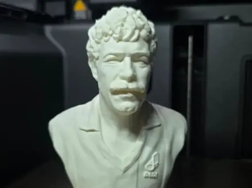 Busto Massimo Palanca