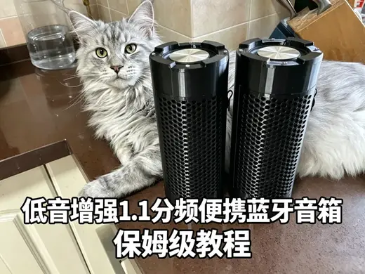 哈曼1.1分频便携蓝牙音箱