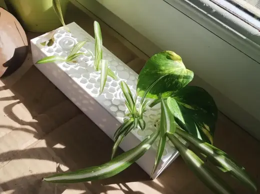 Universal Plant Propagation Station