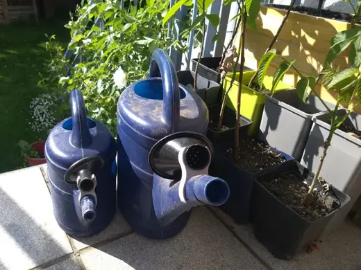 Watering Can Nozzle Holder