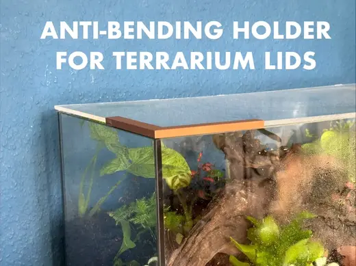 ANTI-BENDING HOLDER FOR TERRARIUM LID