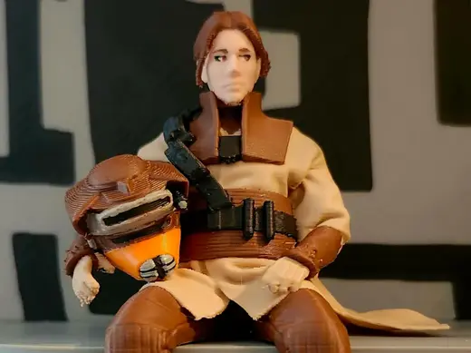 Princess Leia Bounty Hunter