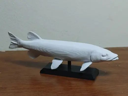 Northern Pike Fish Mount