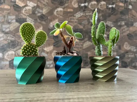 Mini vase plant cactus - vaso pianta