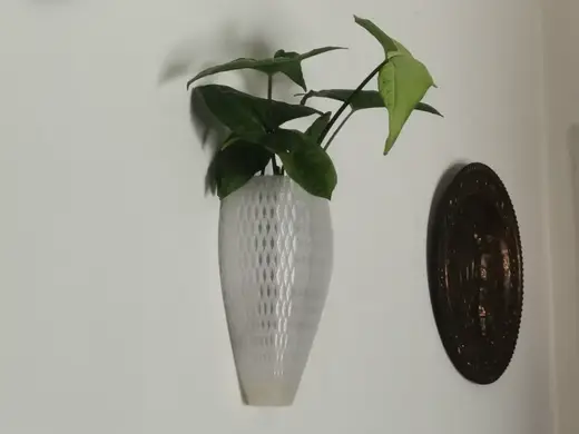 Wall Mounted Vase (Soil, Water or Faux Plants)