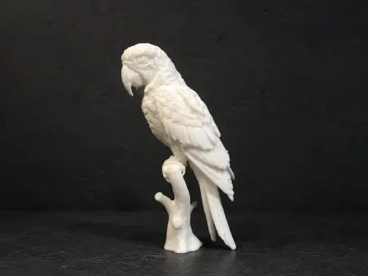 Parrot - Bird - Animal - Decor