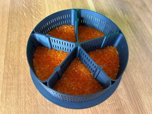 Compartment Insert for Silica Dryer Spool