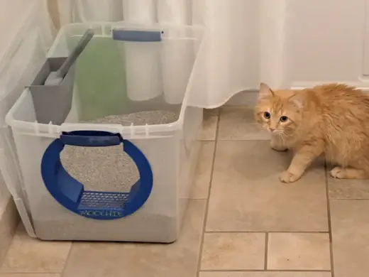Cat Litter Box Portal