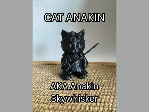 Cat Anakin - AKA Anakin Skywhisker