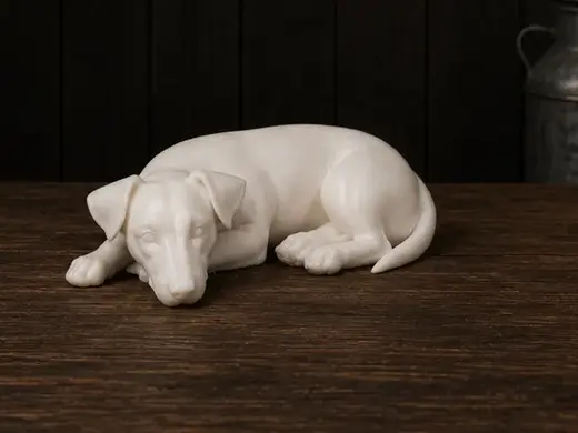 Jack Russell Terrier - Animal - Dog