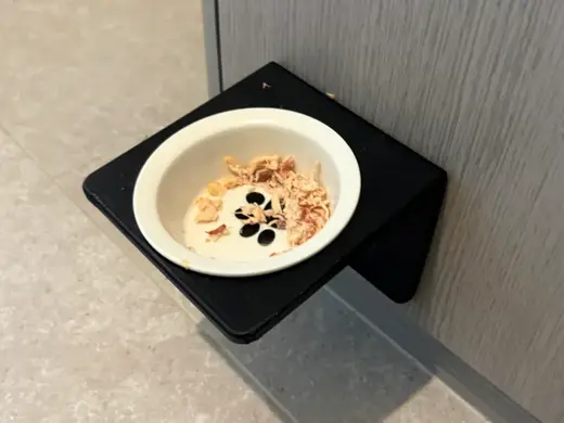 可貼牆懸浮式寵物碗支架